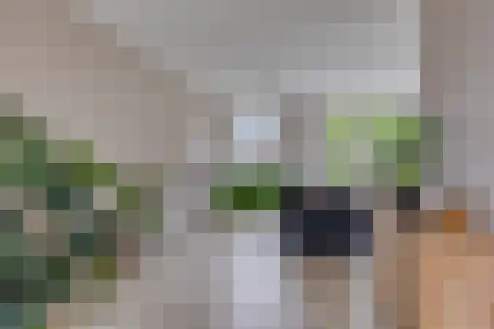 Oldengaerde 39 Sleen thumbnail 12