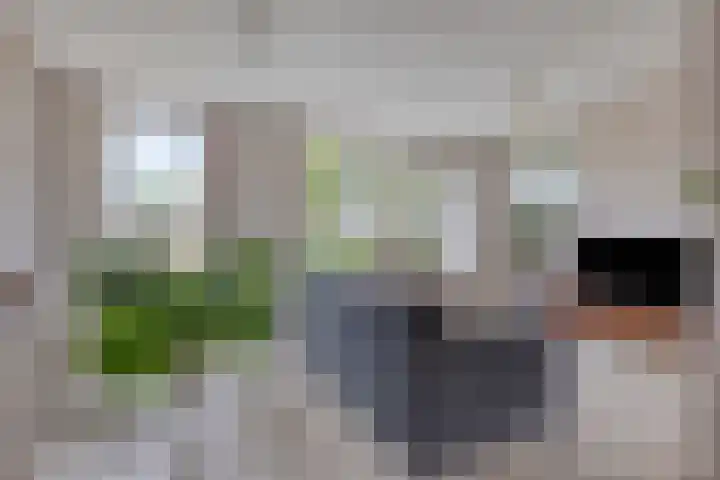 Oldengaerde 39 Sleen thumbnail 13
