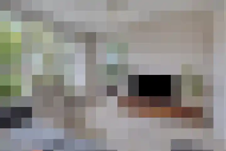 Oldengaerde 39 Sleen thumbnail 14
