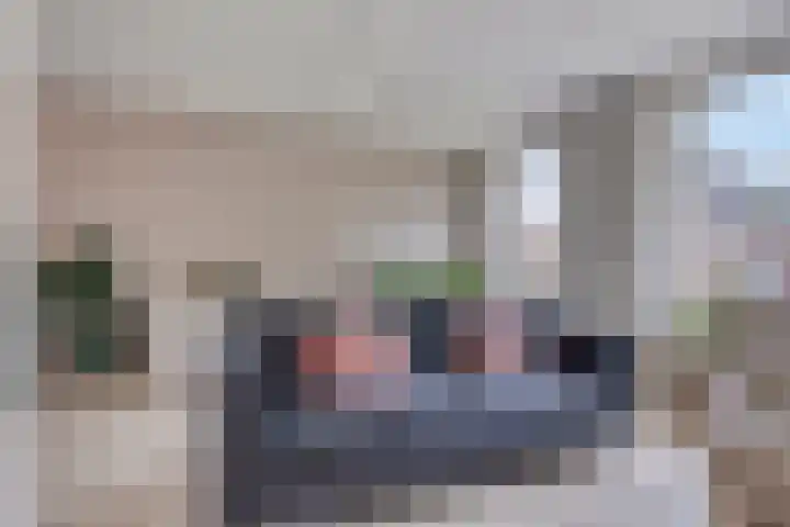 Oldengaerde 39 Sleen thumbnail 16