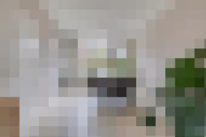 Oldengaerde 39 Sleen thumbnail 17