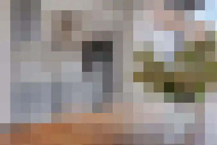 Oldengaerde 39 Sleen thumbnail 18