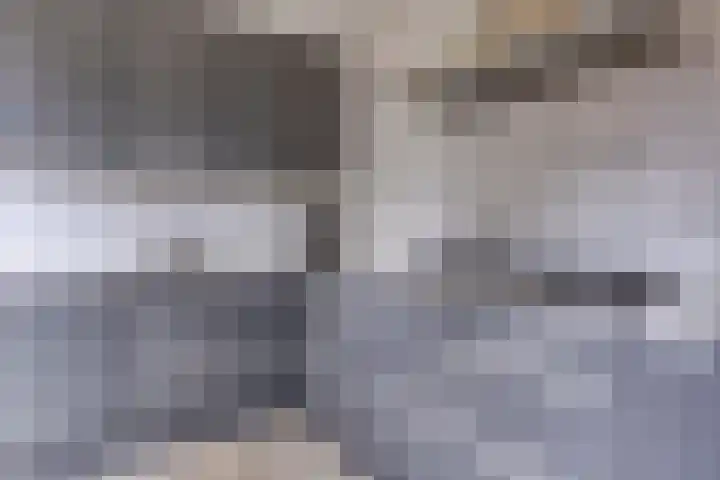 Oldengaerde 39 Sleen thumbnail 20