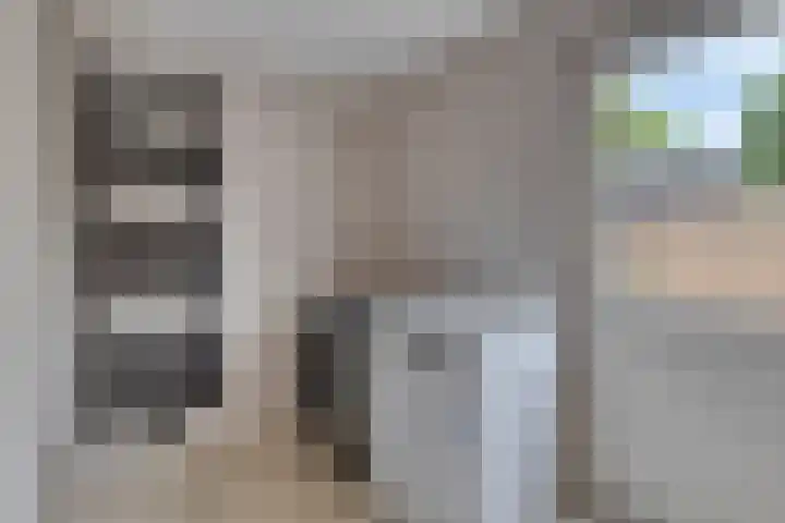 Oldengaerde 39 Sleen thumbnail 24