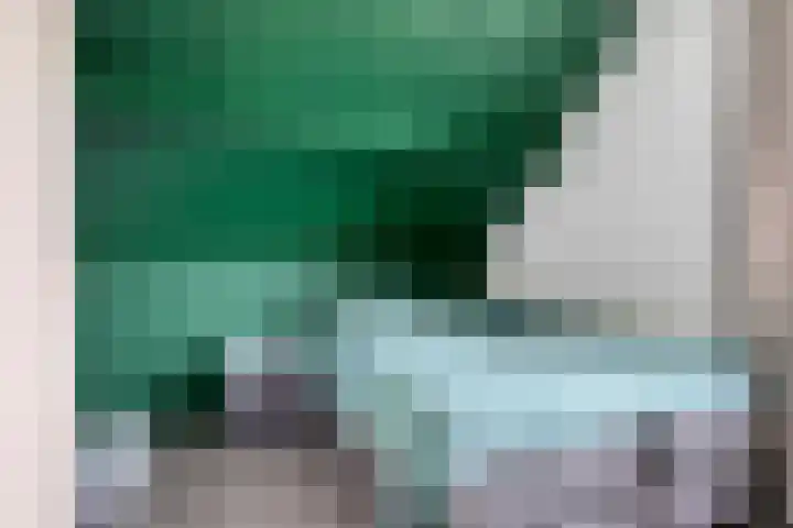 Oldengaerde 39 Sleen thumbnail 31