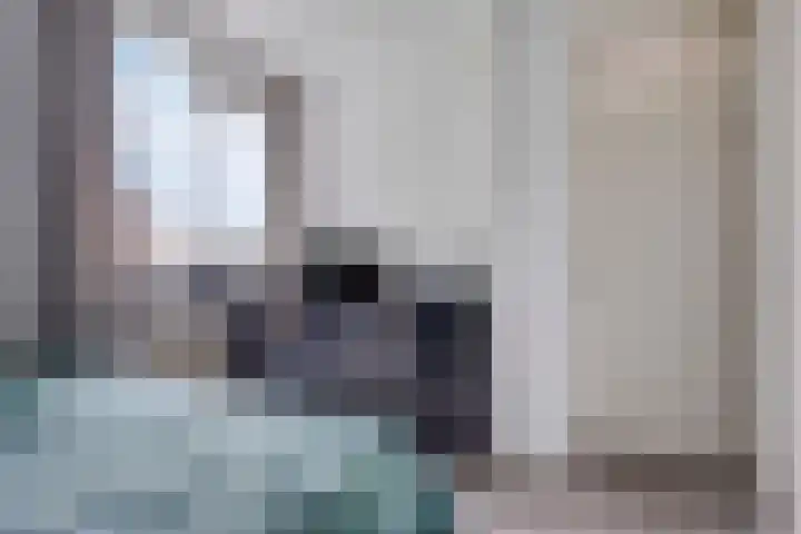 Oldengaerde 39 Sleen thumbnail 32