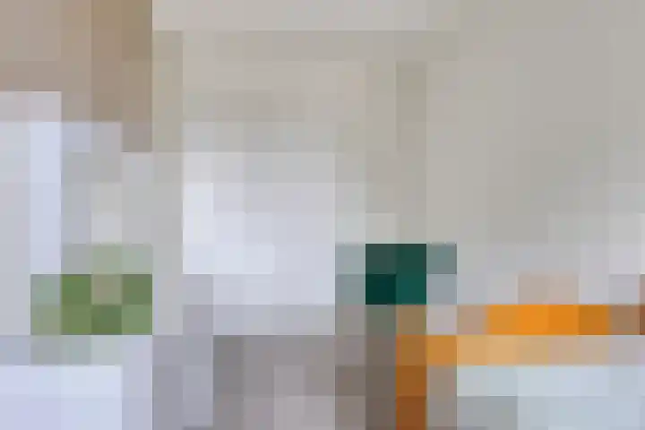 Oldengaerde 39 Sleen thumbnail 34