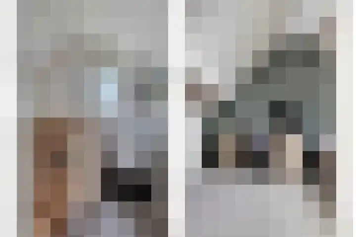 Oldengaerde 39 Sleen thumbnail 35