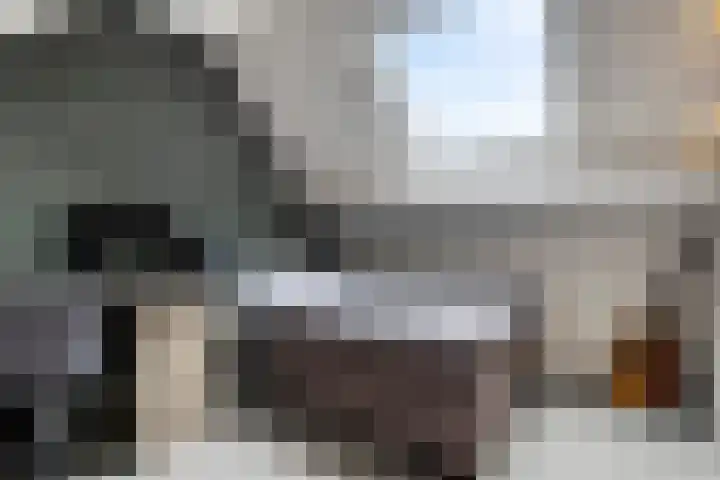 Oldengaerde 39 Sleen thumbnail 36