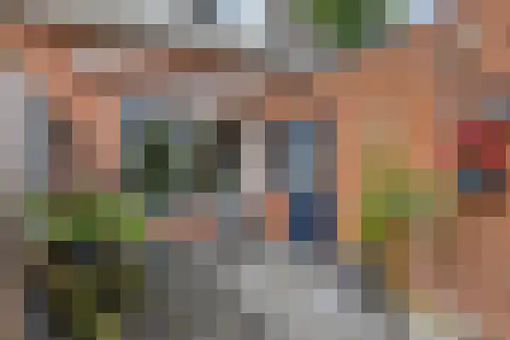 Oldengaerde 39 Sleen thumbnail 37