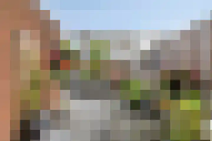 Oldengaerde 39 Sleen thumbnail 38