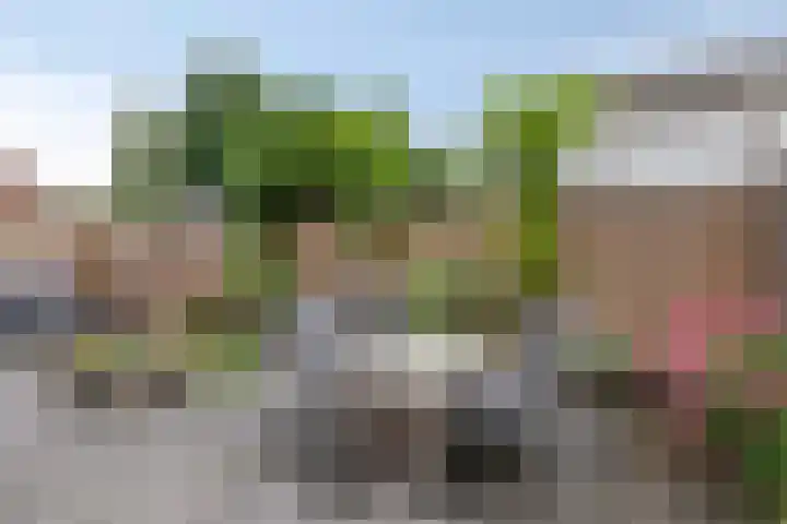 Oldengaerde 39 Sleen thumbnail 39