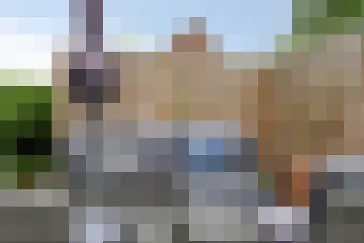 Oldengaerde 39 Sleen thumbnail 4