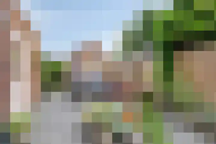 Oldengaerde 39 Sleen thumbnail 40