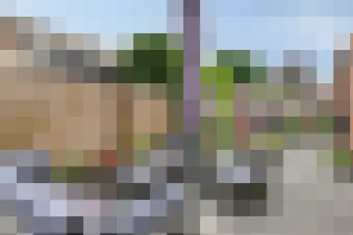 Oldengaerde 39 Sleen thumbnail 41