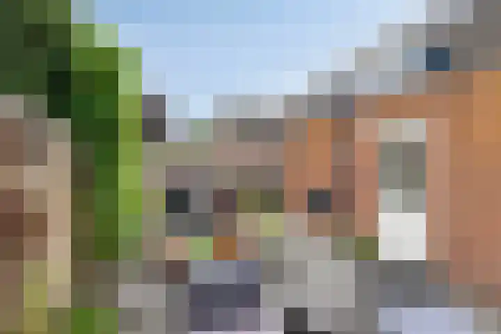 Oldengaerde 39 Sleen thumbnail 42