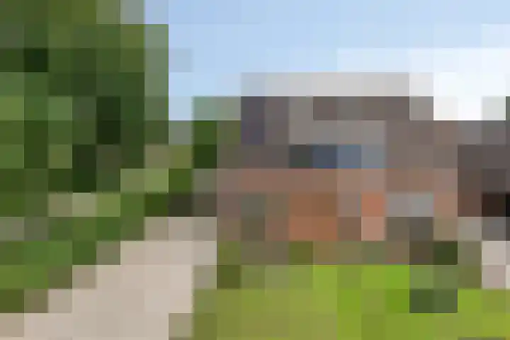Oldengaerde 39 Sleen thumbnail 43