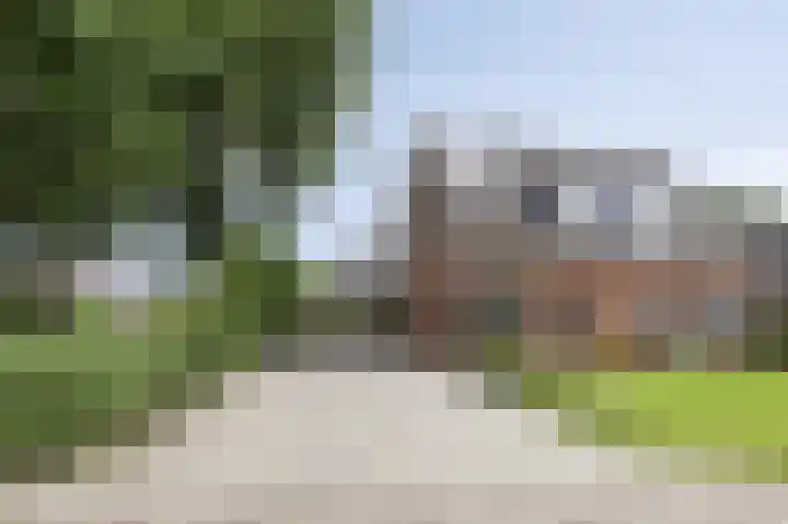 Oldengaerde 39 Sleen thumbnail 45