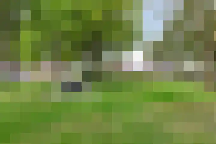 Oldengaerde 39 Sleen thumbnail 5
