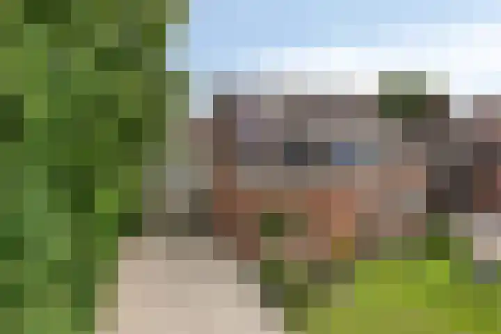 Oldengaerde 39 Sleen thumbnail 8