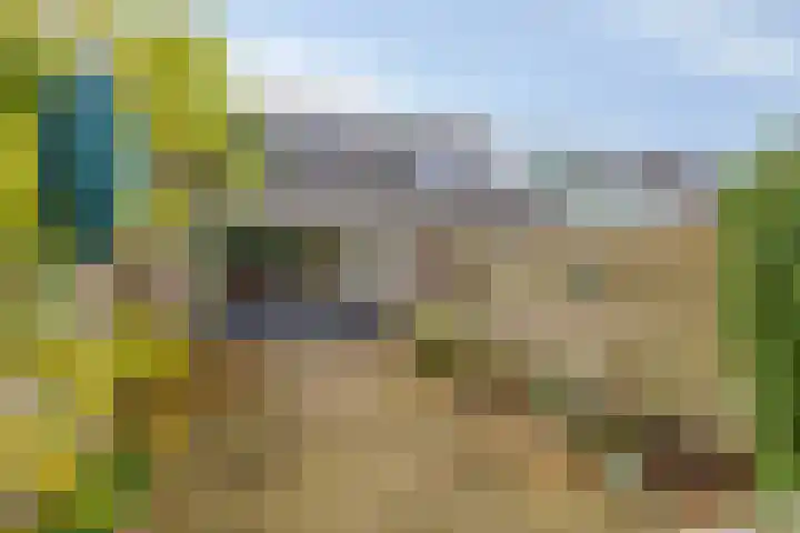 Oldengaerde 42 Roden thumbnail 26