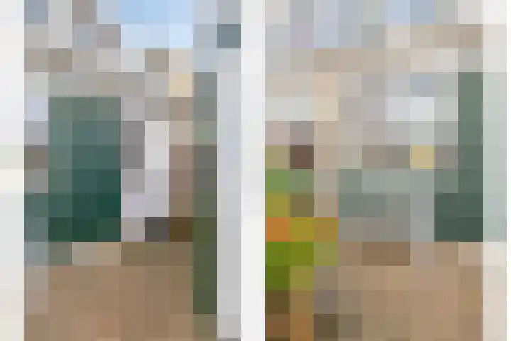 Oldengaerde 42 Roden thumbnail 33