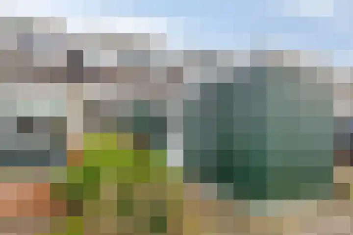 Oldengaerde 42 Roden thumbnail 5