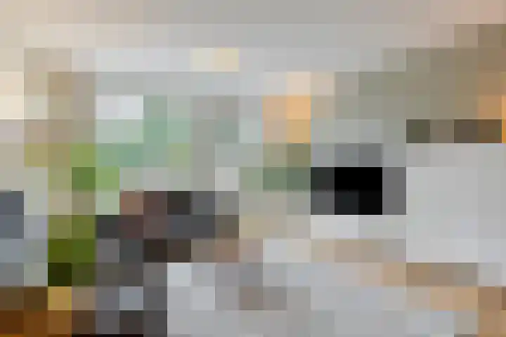Oldengaerde 42 Roden thumbnail 7