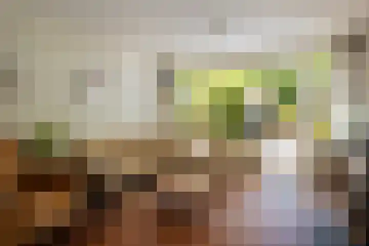Oldengaerde 49 Roden thumbnail 10