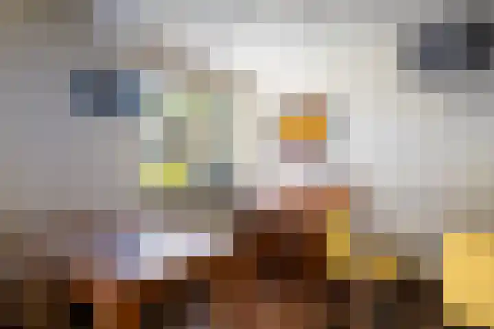 Oldengaerde 49 Roden thumbnail 18