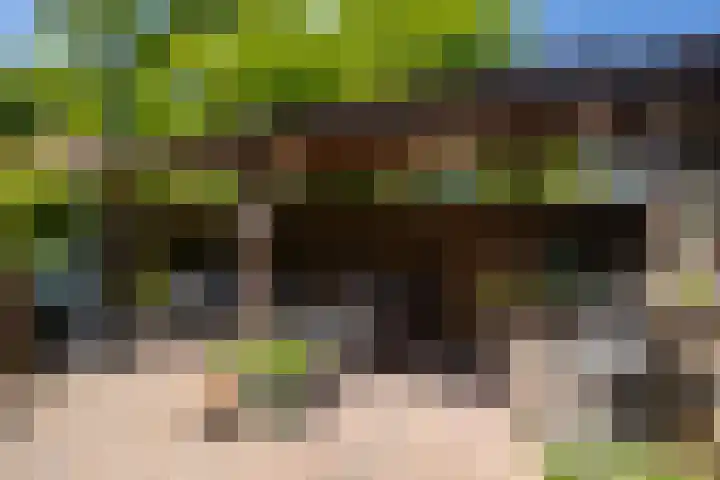 Oldengaerde 49 Roden thumbnail 36