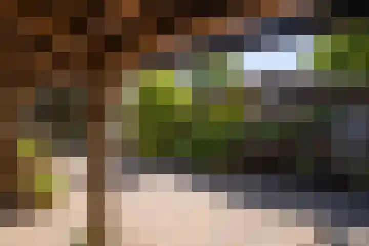 Oldengaerde 49 Roden thumbnail 39