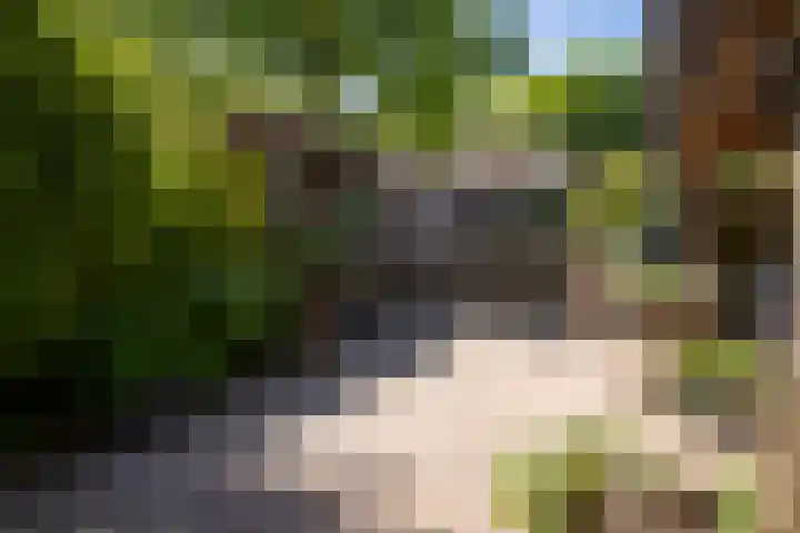 Oldengaerde 49 Roden thumbnail 41