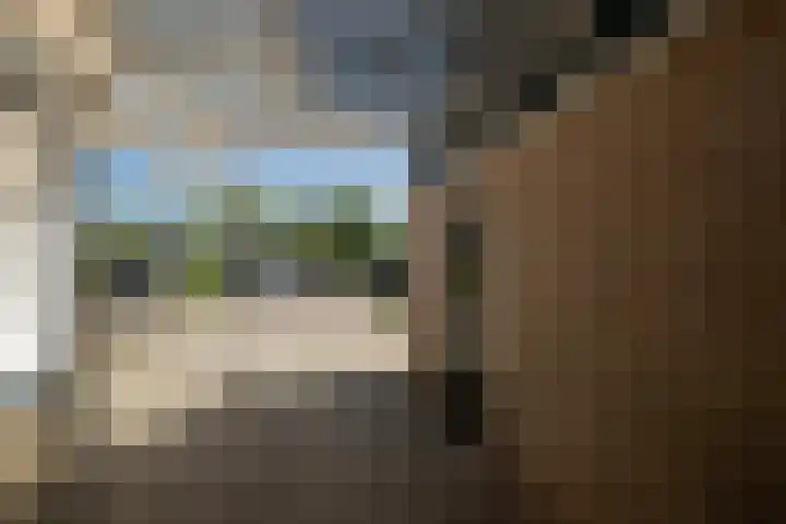 Oldengaerde 49 Roden thumbnail 7