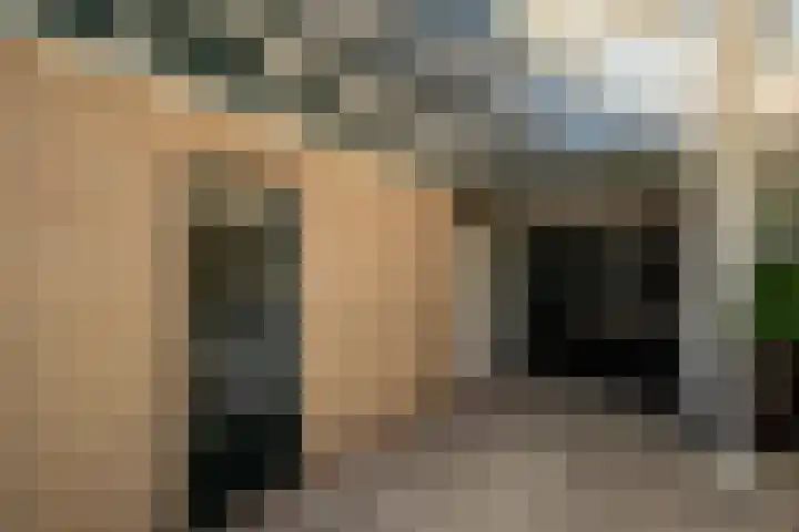 Oldengaerde 49 Roden thumbnail 8