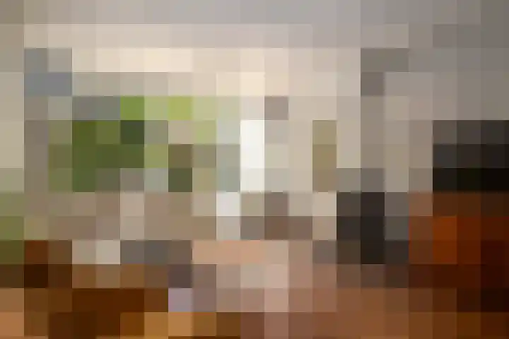 Oldengaerde 49 Roden thumbnail 9