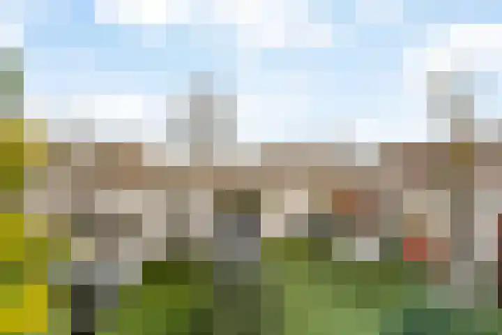 Oldenhagen 24 Rotterdam thumbnail 17