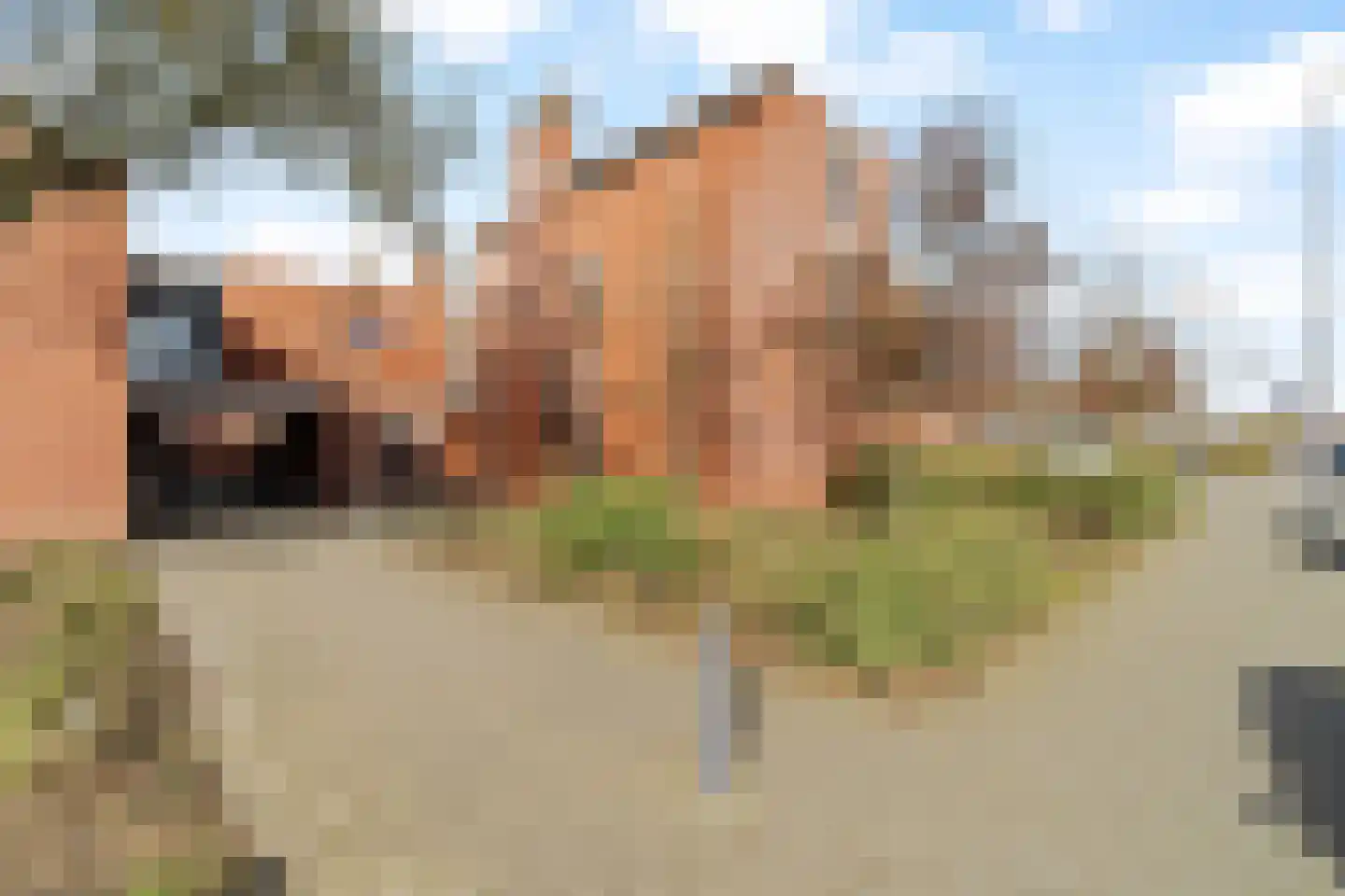 Oldenhagen 24 Rotterdam thumbnail 4