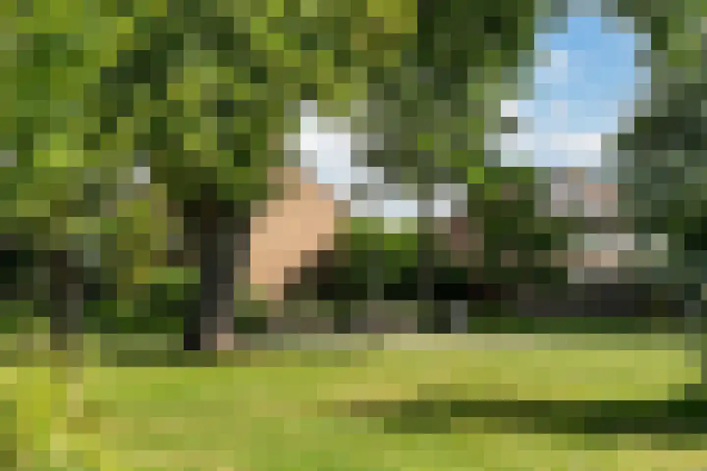 Oldenhagen 76 Rotterdam thumbnail 17