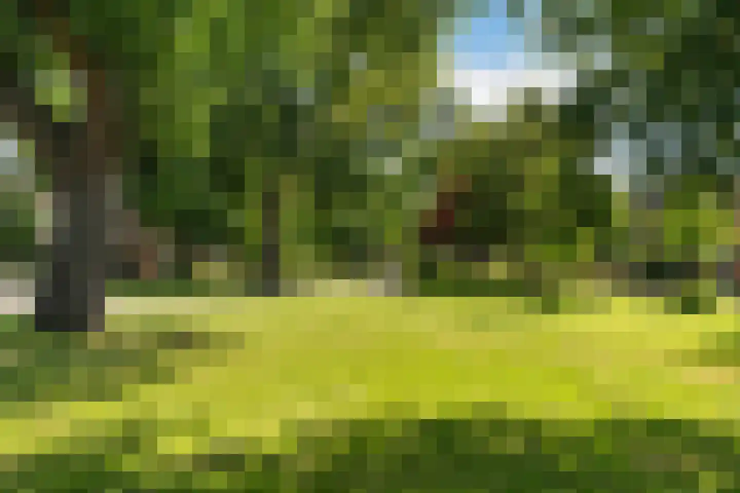Oldenhagen 76 Rotterdam thumbnail 18