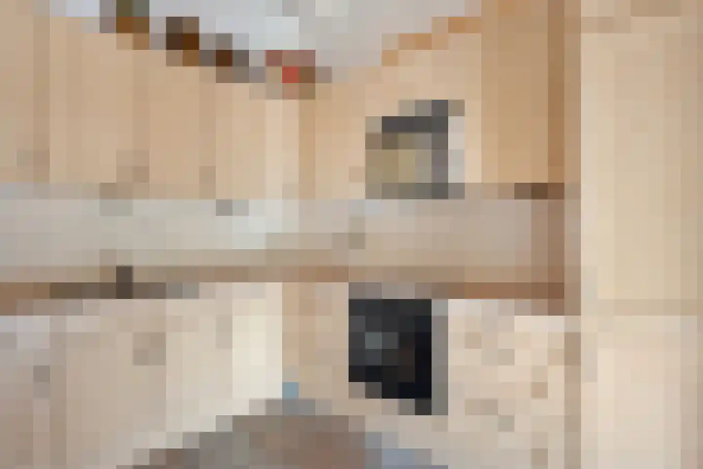 Oldenhave 13 Ruinen thumbnail 12