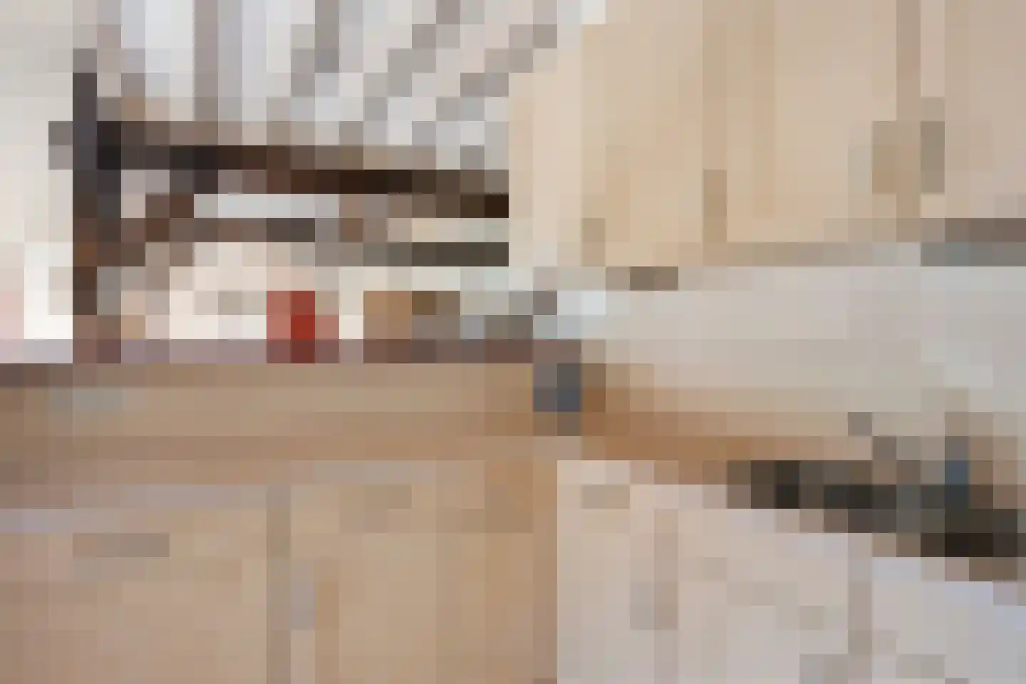 Oldenhave 13 Ruinen thumbnail 13