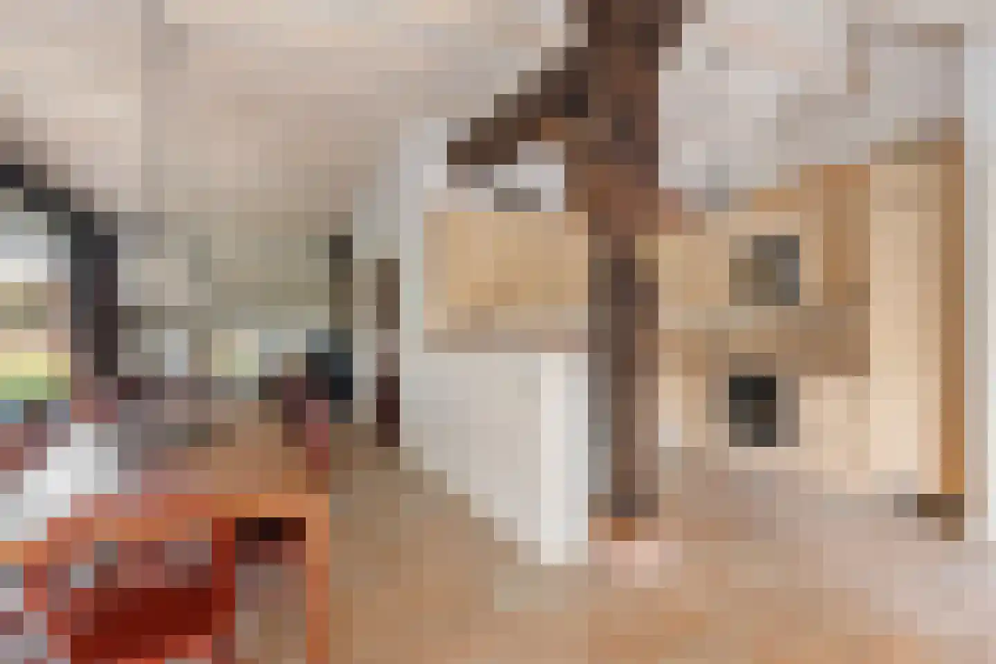 Oldenhave 13 Ruinen thumbnail 14