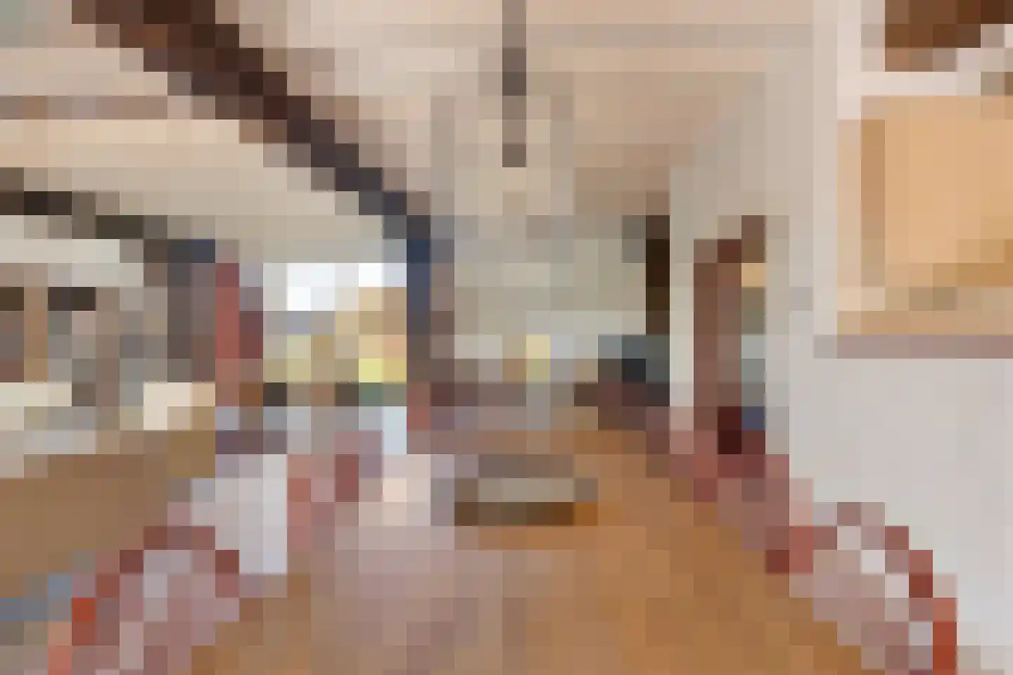 Oldenhave 13 Ruinen thumbnail 16