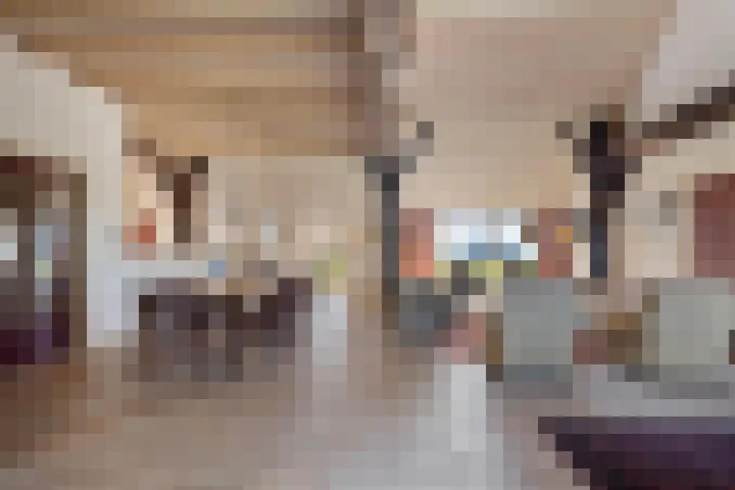 Oldenhave 13 Ruinen thumbnail 18