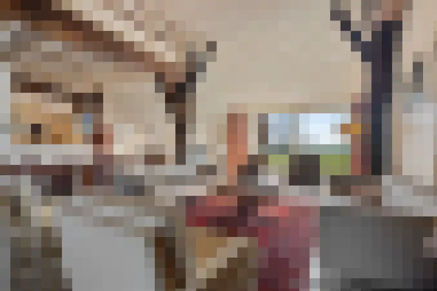 Oldenhave 13 Ruinen thumbnail 20