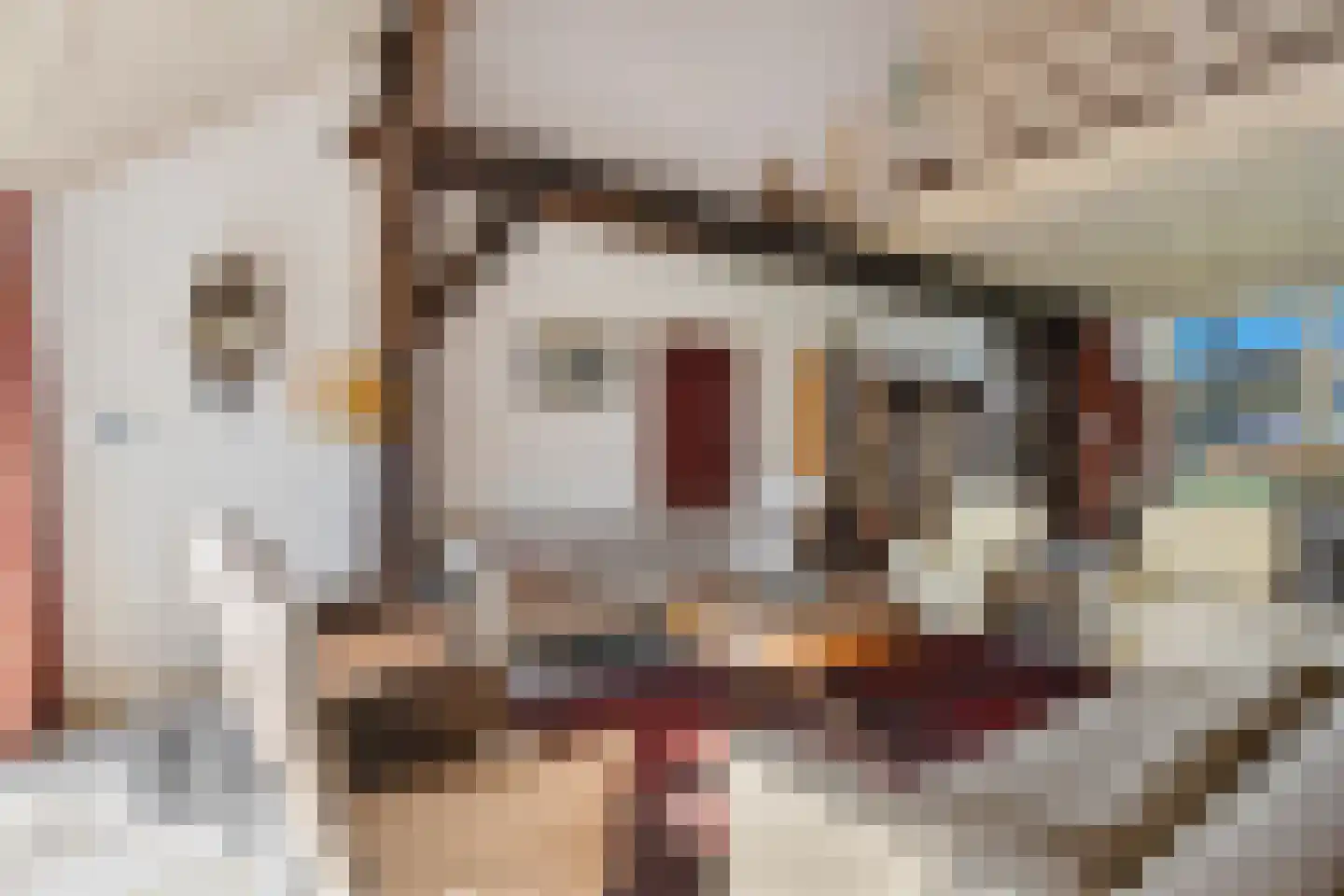 Oldenhave 13 Ruinen thumbnail 24