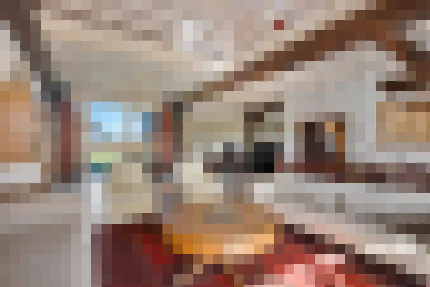 Oldenhave 13 Ruinen thumbnail 25