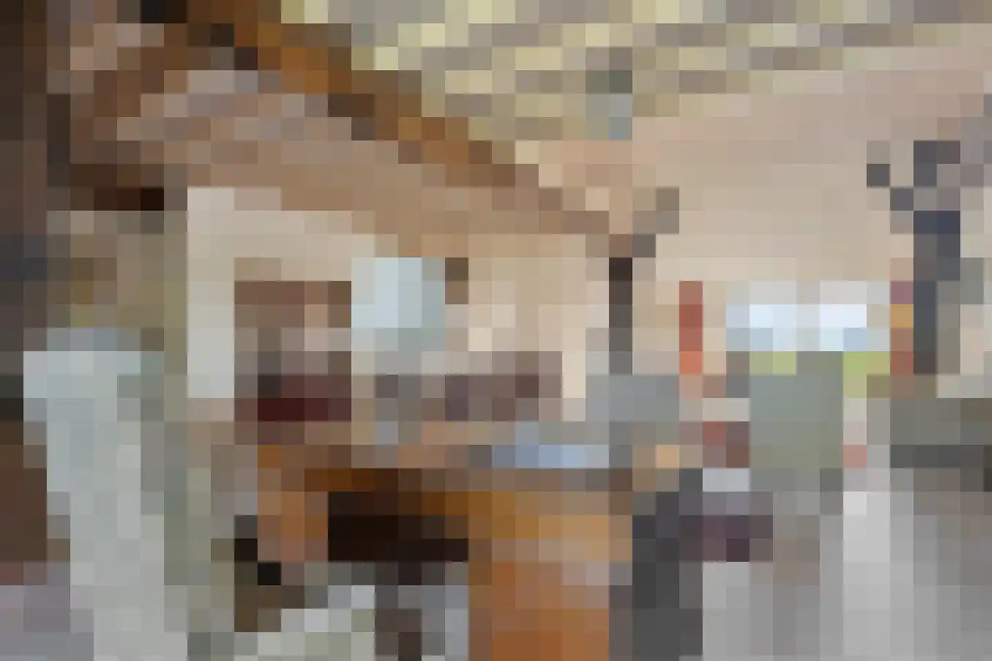 Oldenhave 13 Ruinen thumbnail 28