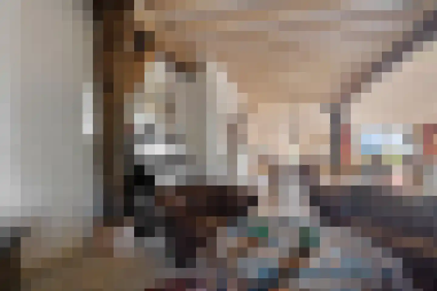 Oldenhave 13 Ruinen thumbnail 30